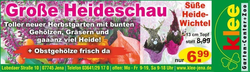 AA 050920 Jpg 1024x297